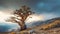 Mountain landscape with an ancient, majestic, lonely bristlecone pine tree in the foreground and stormy sky in the background.