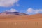 Mountain landscape of the Andes with grazing vicunas or guanacos, near Paso Jama, Chile, South America