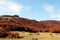 Mountain landscape autumn, with beeches