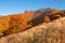 Mountain landscape in autumn with idyllic surroundings