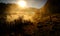 Mountain landscape with autumn morning fog at sunrise