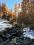 Mountain landscape in autumn: small torrent in a larch forest in