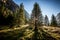 Mountain landscape autumn Valtellina Italy