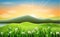 Mountain landscape background with daisies flower
