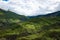 Mountain landscape beautiful green mountains with Alpine lush meadows