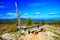 Mountain landscape - a bog on a mountain slope  with a view of the swieradÃ³w spa