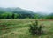 Mountain landscape. Carpathians.