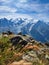 Mountain landscape in Chamonix. Hiking holidays with a breathtaking view of the Mont Blanc massif. Flowers mountain lake
