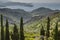 Mountain landscape Cima del Monte near Rio nell Elba, Elba, Tuscany, Italy