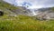 Mountain landscape with cottongrass meadow and glacier