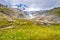 Mountain landscape with cottongrass meadow and glacier