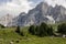 Mountain landscape with cows on the meadow