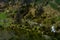 Mountain landscape with cows and river