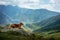 Mountain landscape with a dog. A trip to Georgia. Pet on a background of beautiful nature. Nova Scotia Retriever on a trip