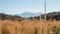 Mountain landscape, with dry and amber grasslands at the beginning of spring. Shores of the Nevado de Toluca