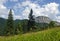 Mountain landscape, Eastern Carpathians, Romania