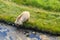 Mountain landscape, Fascinating hike in Kamchatka