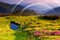 Mountain landscape with Flowers and a rainbow