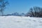 Mountain landscape. In the foreground there is a glade, on the middle a forest, behind the snow-covered peaks of the mountains. Be