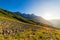 Mountain landscape of the french Alps, Massif des Ecrins. Scenic alpine landscape at high altitude with glacier, green meadows and