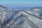 Mountain landscape. On the front and middle ground there is a forest, behind the snow-covered peaks of the mountains. Beautiful bl