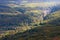 Mountain landscape. Gorge and mountains covered by forest