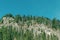 Mountain landscape. Green spruce forest. Nature. Trees on stone cliffs.