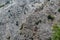 Mountain landscape, layered limestone rocks of the Taurus range