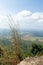 The mountain landscape looks far above the ground, with rice fields