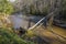 Mountain Landscape - muddy river crossing through the woods