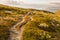 Mountain landscape Norway national park Dovre