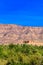 Mountain landscape, Oasis of the Draa Valley, Morocco. Copy space for text. Vertical