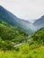 Mountain landscape - pine forest on the mountains and small river crossing by - fog on the mountains