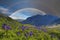 Mountain landscape with a rainbow over flowers