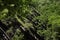 Mountain landscape. Rocks in greenery