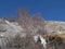 Mountain landscape Roof of the world  Winter