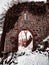 Mountain landscape with the ruins of a medieval castle in the Vosges