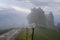 Mountain landscape shortly after spring rain. Slovenian Alps. Forest Road, venerable tree, fog, clouds and peaks. The village of J