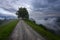 Mountain landscape shortly after spring rain. Slovenian Alps. Forest Road, venerable tree, fog, clouds and peaks. The village of J