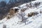 Mountain landscape. Snow-covered rocks on the middle plan, on the front glade, on the back winter forest. Lago-Naki, The Main Cauc