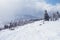 Mountain landscape on a snowy slope in the Siberian mountains. Nature.