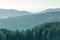 Mountain landscape with spruce and pine trees in the Alps during a sunny day in Winter time.