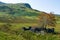 Mountain landscape with steep hills and gorse moorland fields, Snowdonia, Wales