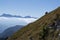 Mountain landscape in summer