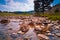 Mountain landscape in summer with rocky river