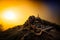 Mountain landscape at sunrise, Ceahlau, Romania