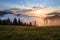 Mountain landscape. Sunrise in the clouds. Dense fog with nice soft light. On the lawn the grass and flowers in dew.