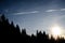 Mountain landscape of top of fir trees forest at sunset