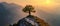 Mountain landscape with tree at sunset in summer, scenic lone pine at rock top, panoramic stunning view. Concept of nature, sky,