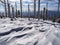 Mountain landscape with trees and detailed snow rifts